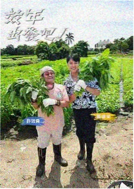 特拉法尔加·罗 海贼王全集